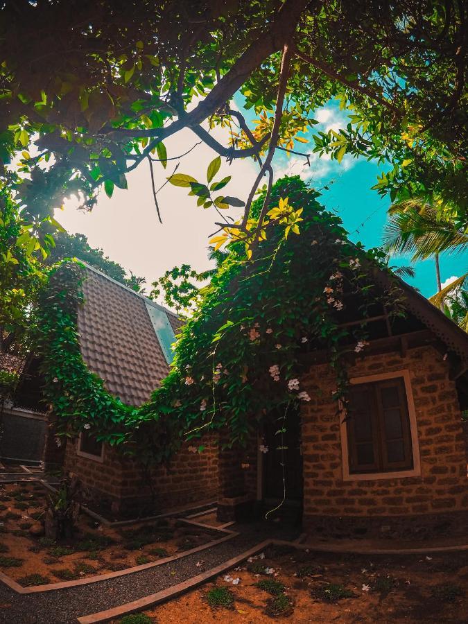 Sky View Cabin אונה ואטונה מראה חיצוני תמונה