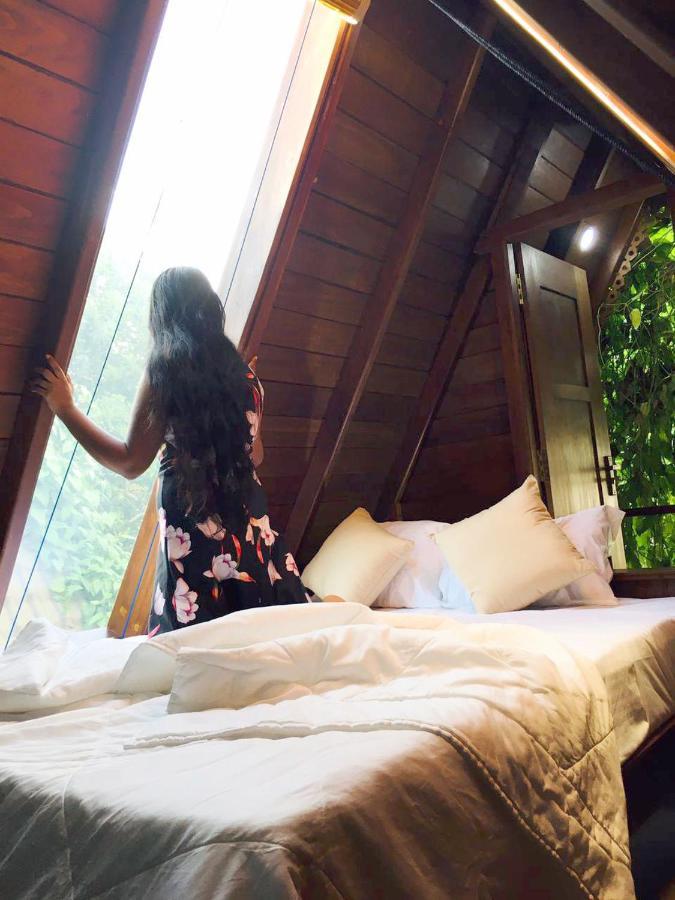 Sky View Cabin אונה ואטונה מראה חיצוני תמונה