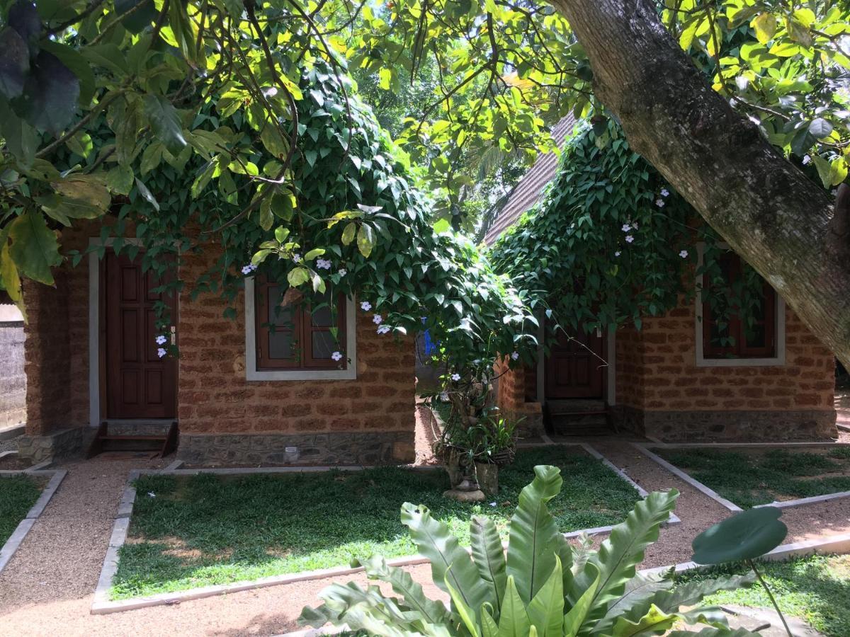 Sky View Cabin אונה ואטונה מראה חיצוני תמונה
