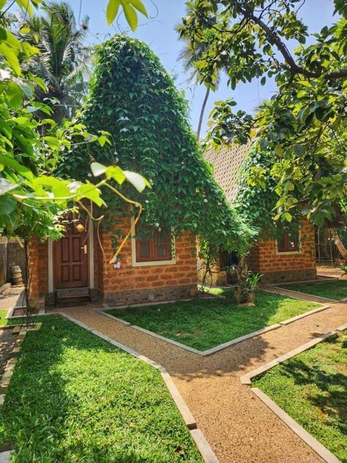 Sky View Cabin אונה ואטונה מראה חיצוני תמונה
